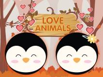 Love Animals thumbnail