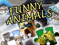 Jigsaw Puzzle Funny Animals thumbnail