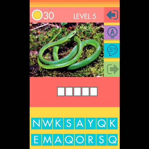 Picture Quiz thumbnail