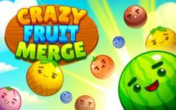 Crazy Fruit Merge thumbnail