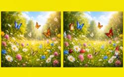 The Difference thumbnail