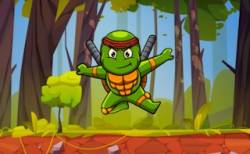 Turtle Ninja thumbnail